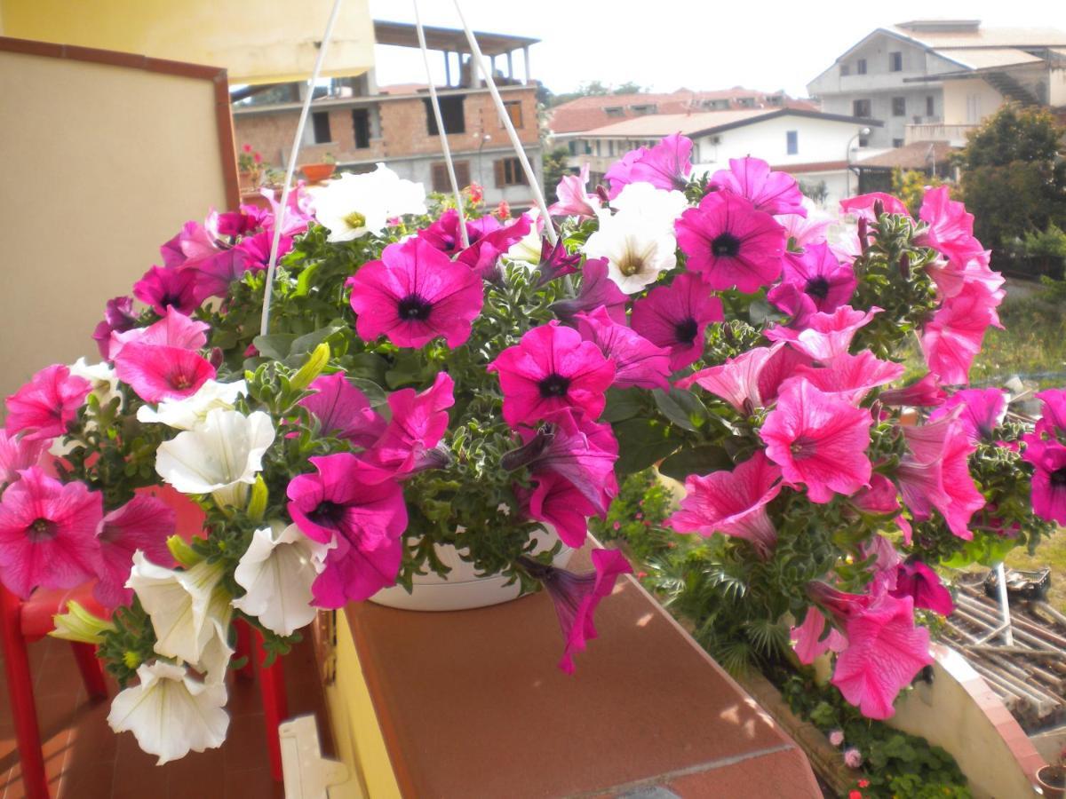 B&B Del Sole Tropea Riaci Eksteriør bilde